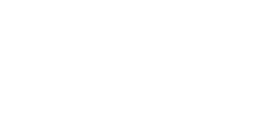 wereld foundation